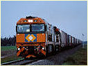 NR86,Wingeel