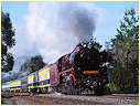 R766,Macedon