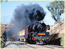 R766,Ravenswood