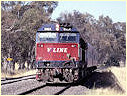 N464,Longwood