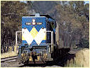 T369,Longwood
