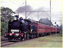 K183,Mentone