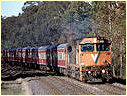N459,Macedon