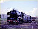 R711,T413,Newport