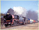 R761,T356,T364,Birchip