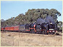 K190,R761,Clunes
