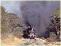 K190,R761,Dunolly