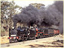 K190,R761,Dunolly