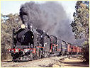 K190,R761,Bealiba