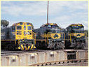 Y165,T400,P20,South Dynon