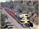 S313,Elphinstone