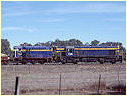 F212,T333,Muckleford