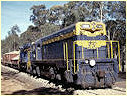 F212,T333,Muckleford