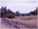 Y135,Loch,Nyora