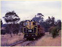 Y135,Loch,Nyora