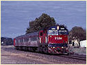 N454,Nagambie