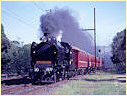 K183,Mentone