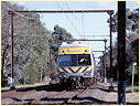 Comeng,Mount Waverly