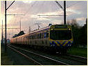 Comeng,Westall