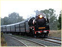 R761,Ravenswood