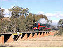 R761,Rochester
