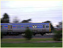 Comeng,Clayton,Westall