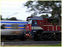 N458,Clayton,Westall