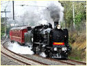 K153,Mont Albert