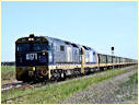 8171,8160,Gheringhap