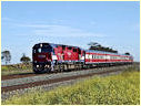 N470,Lara,Little River