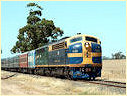 S313,S301,Karong Vale