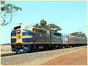 S313,S301,Charlton,Teddywaddy