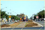 S313,S301,Wycheproof