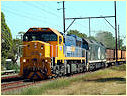 XR551,BL29,Mentone