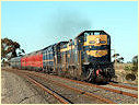 T364,T356,Diggers Rest,Sunbury