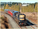 T364,T356,Malmbury,Taradale