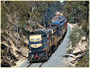 T364,T356,Elphinstone,Castlemaine