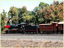 J515,Castlemaine