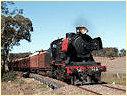 J515,Castlemaine,Muckleford