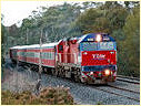 N453,Gisborne,Macedon