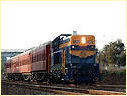 T356,North Geelong