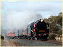 R761,Melton,Parwan