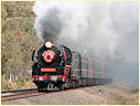 R761,Longwood,Euroa
