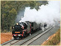 R761,R707,Taradale,Elphinstone