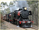 J541,J515,Muckleford,Castlemaine