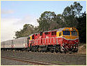 N461,Wandong,Kilmore East