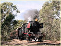 J541,Muckleford,Castlemaine
