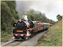 R761,Moe,Morwell