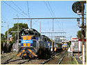 T373,Sandringham