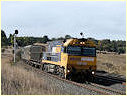 NR49,North Geelong,Moorabool